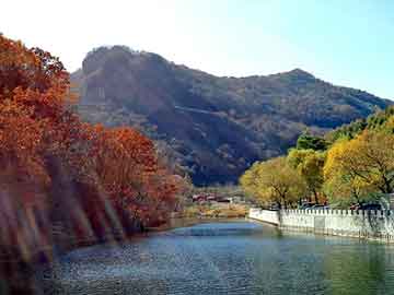 新澳天天开奖资料大全旅游团，帝豪论坛